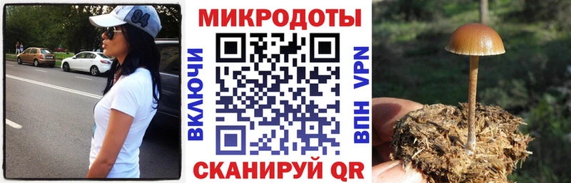 это наркотические препараты Сыктывкар MEGA сайт Галлюциногенные грибы мухоморы что такое наркотик